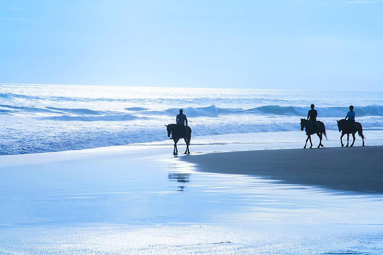 Nantucket Penthouse - Walk To Restaurants Beaches Activies & So Much More Half Moon Bay Zewnętrze zdjęcie